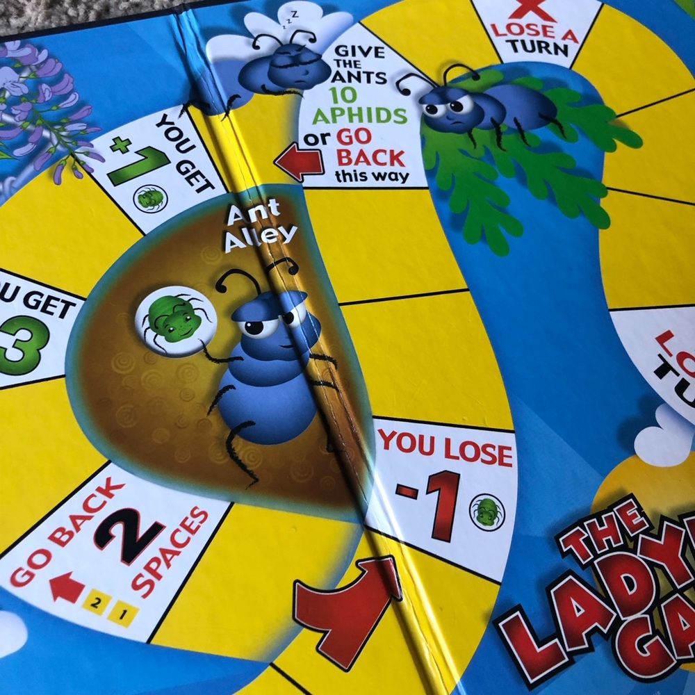 The Lady Bug Game - Picture 8 of 11